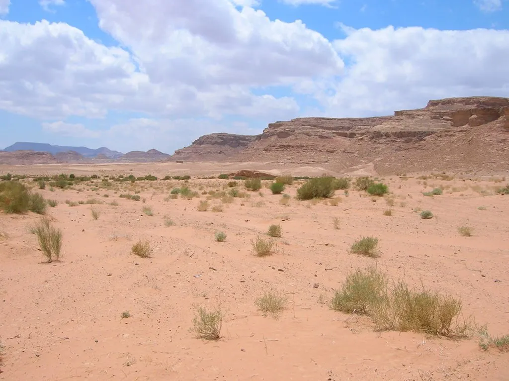 Jordania desierto