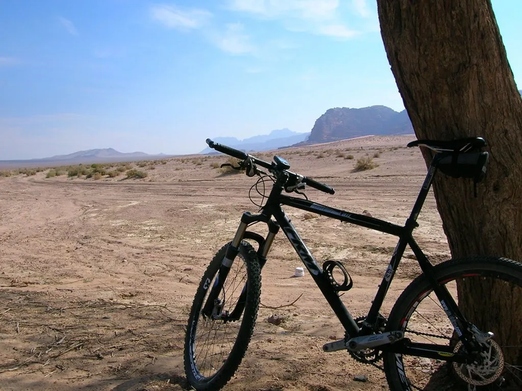 Wadi Rum árbol