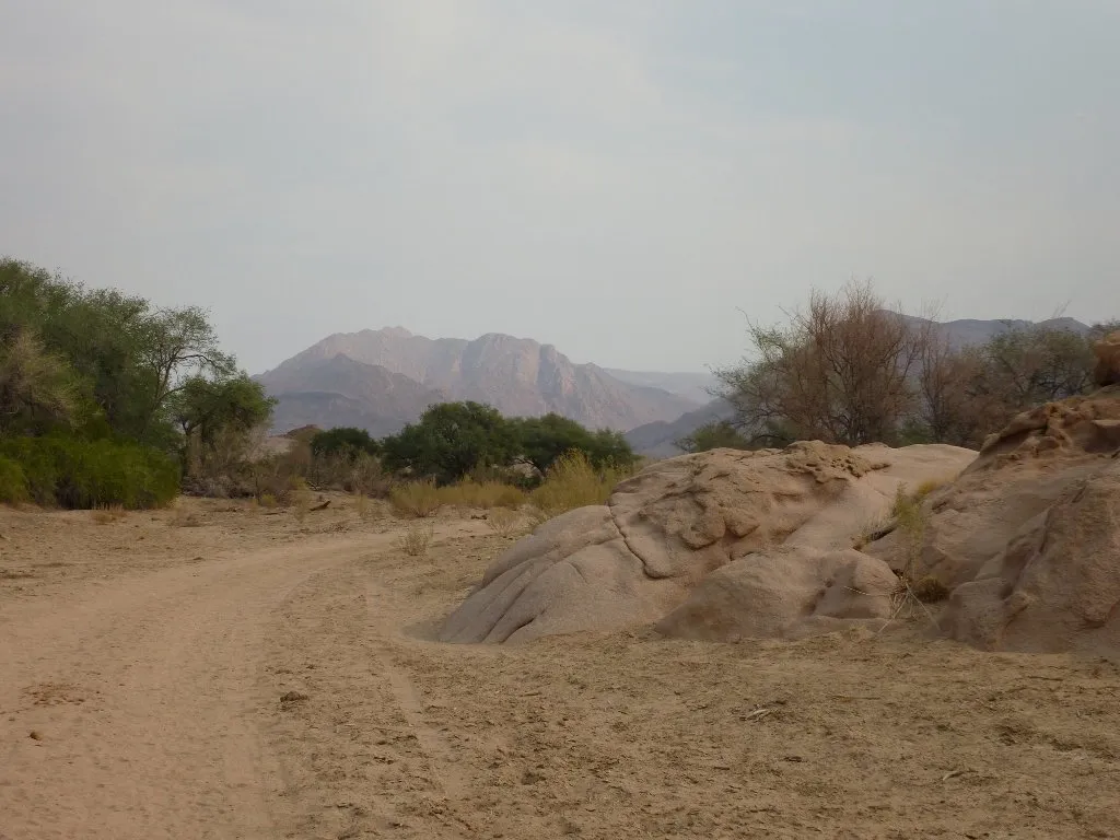 Camino rumbo al Monte Brandberg