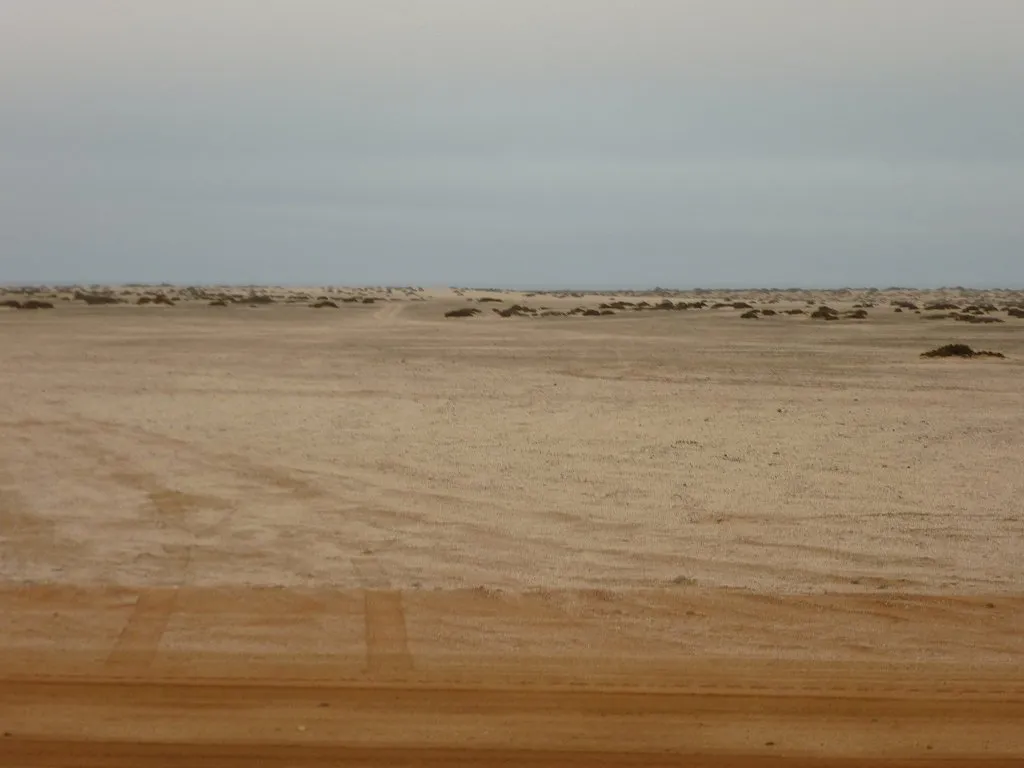 Desierto del Namib