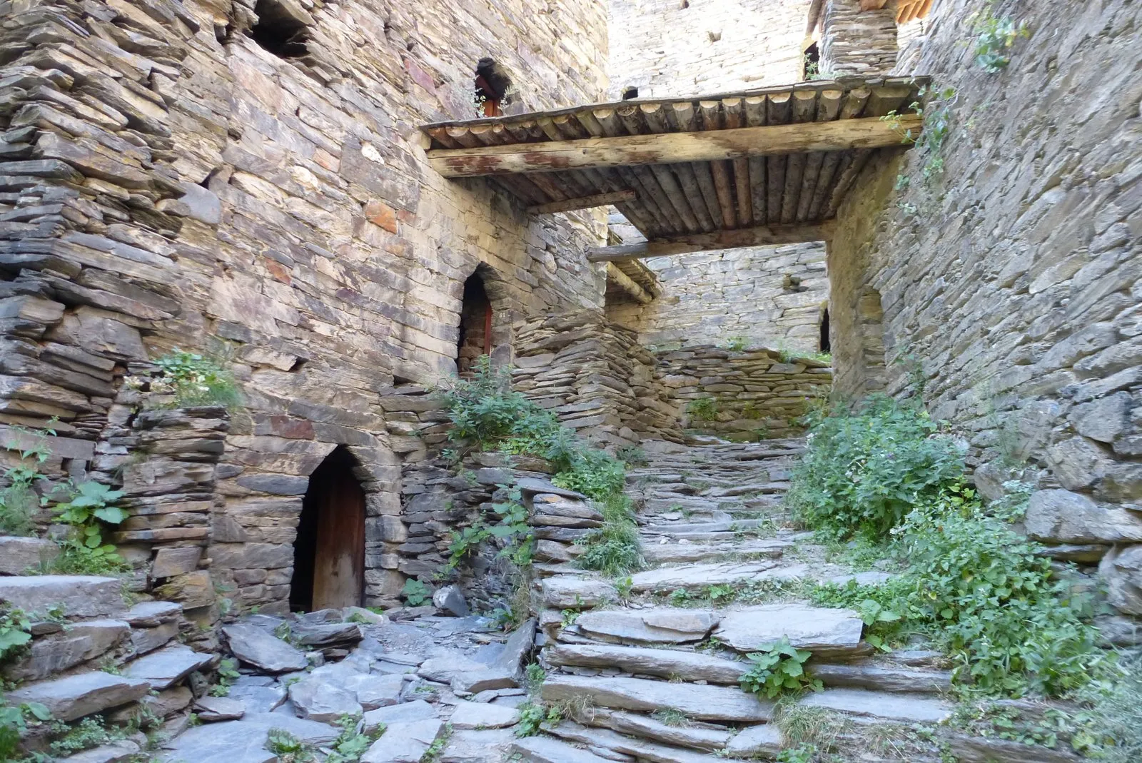 shatili center