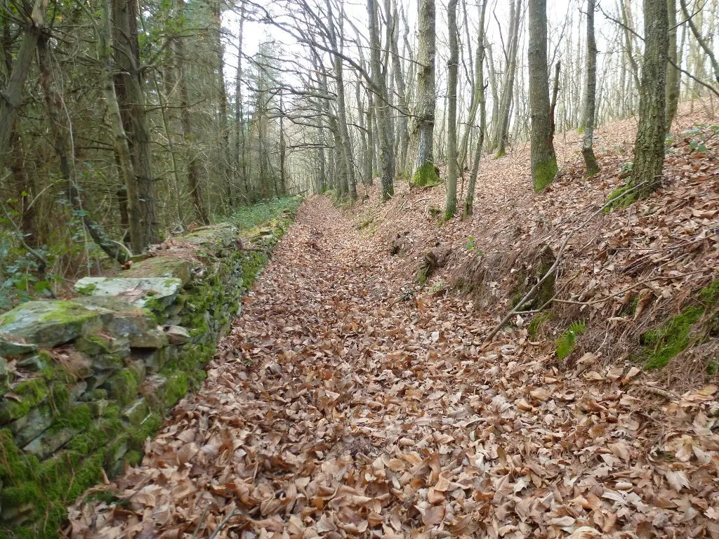 Carril de bobsleigh