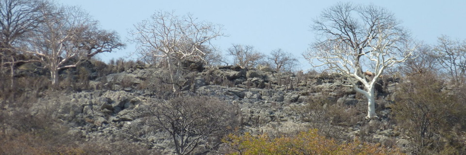 Namibia 2, de Outjo a Khorixas