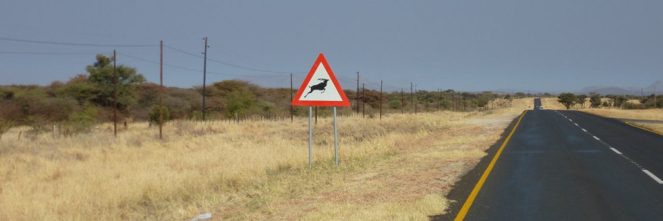 Namibia 1, de Otjiwarongo a Outjo