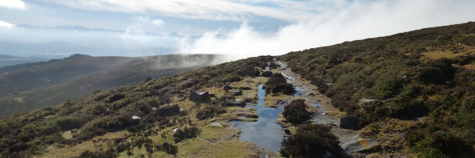 Camino de Santiago primitivo, de Campiello a Fonsagrada