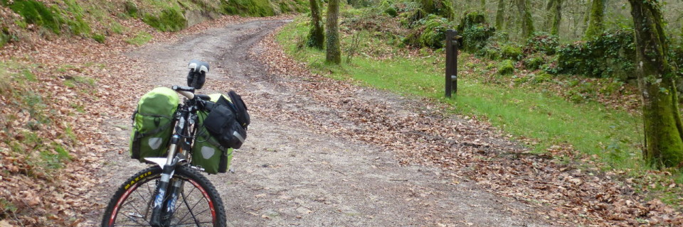 Camino de Santiago primitivo, de Fonsagrada a Melide