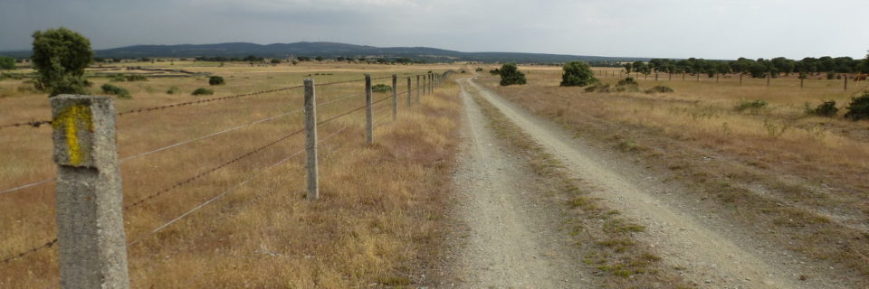 Ruta de la Plata, de Bejar a Salamanca