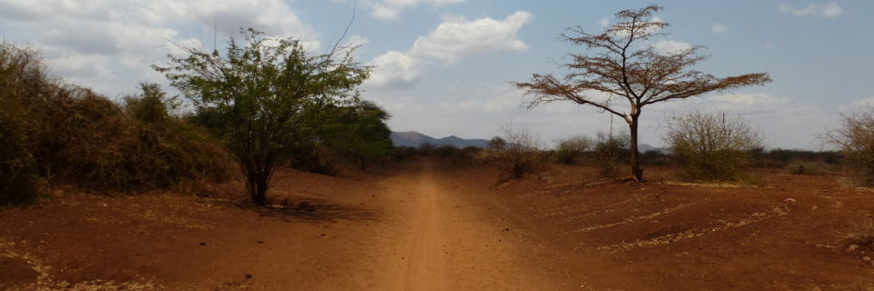 Tanzania 1, de Moshi a Lake Chala