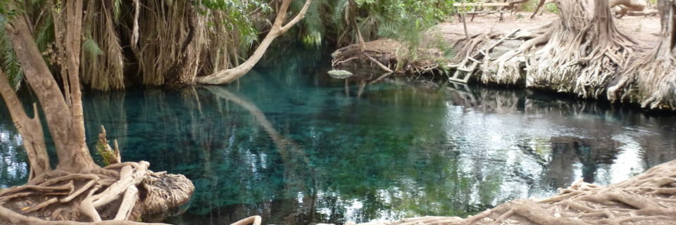 Tanzania 5, de Kikuletwa Hot Spring a Arusha
