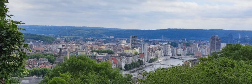 Ardennes Arbalète 5